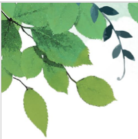 L'impatto ambientale del tabacco